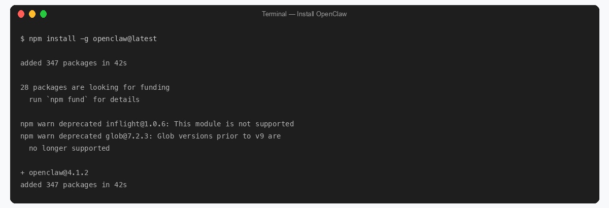 OpenClaw npm install output