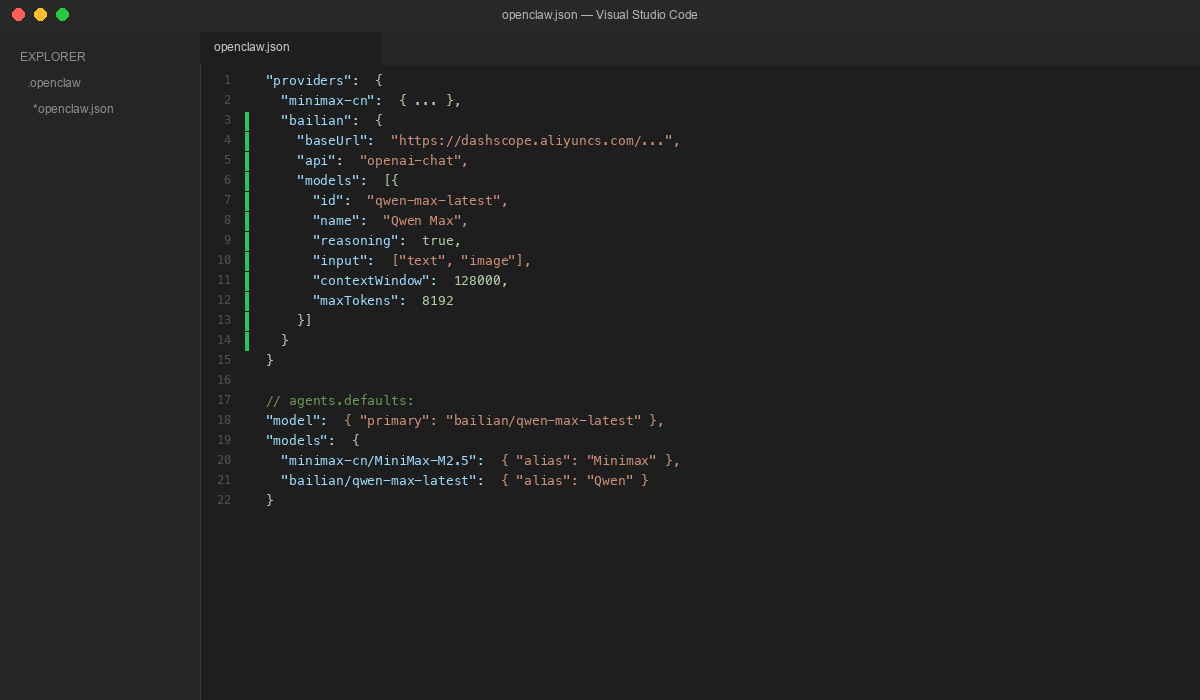 Add Bailian provider in raw config